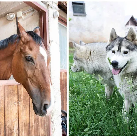 Lejlighed & Pristov *