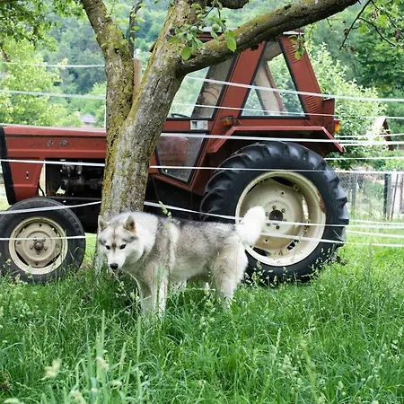 & Pristov