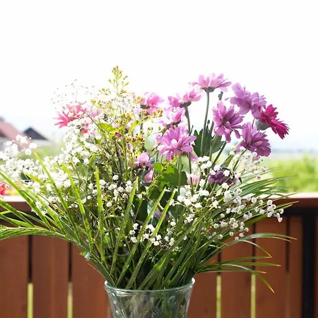 Διαμέρισμα & Pristov *